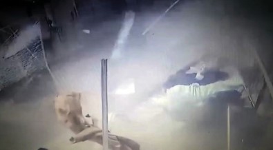 Düzce'de Yaşanan Patlama Anı Güvenlik Kamerasına Yansıdı