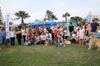 KARŞIYAKA BELEDİYESİ - Hayvanseverler 'Can Dostları Şenliği'nde Buluştu