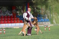 İNSAN TİCARETİ - Kahraman Köpekler JAKEM'de Yetişiyor