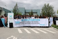 OSMANLı DEVLETI - Niğde'de Fransa'ya Tepki