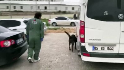 Van'da Uyuşturucu Operasyonu