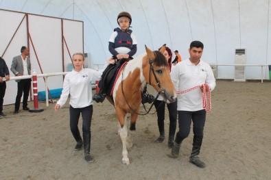 Elazığ'da Atla Terapi Dönemi