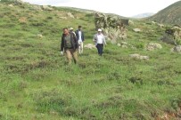 SEMENDER - Elazığ'da Nesli Tehlikede Olan Kuş Türleri Ve Sürüngenler Tespit Edildi
