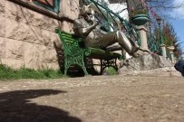 ÜNİVERSİTE MEZUNU - Eşek Heykeli De Fayda Etmedi