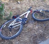 Milas'ta Bisiklet Sürücüsü Feci Kazada Yaşamını Yitirdi