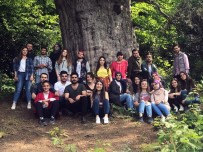 DENIZ YıLMAZ - Öğretmen Adayları 4113 Yaşındaki Porsuk Ağacını Tanıttı