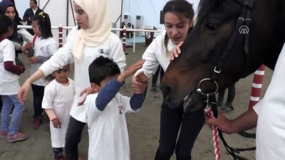 TJK, Elazığ'da Atla Terapi Merkezi Açtı