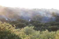 KIZILÇEŞME - 50 Hektarlık Ormanlık Alan Zarar Gördü