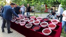 KİRAZ FESTİVALİ - 54. Uluslararası Tekirdağ Kiraz Festivali Başladı