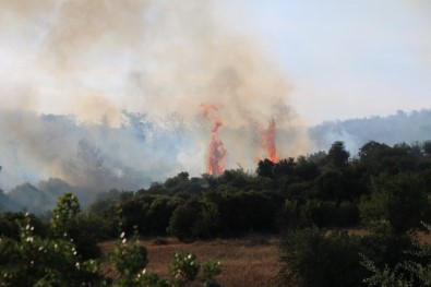 Çanakkale'de Orman Yangını Devam Ediyor