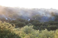 KIZILÇEŞME - Çanakkale'de Orman Yangınında 50 Hektar Zarar Gördü