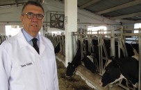 DÜNYA SÜT GÜNÜ - Dünya Süt Gününde Sağlıklı Süt Vurgusu