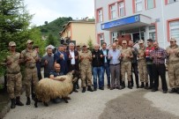 Giresun'da Öldürülen Teröristlerin Ardından Operasyonlar Sürüyor Haberi