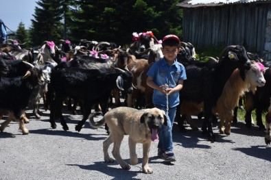 Atalarından Kalma Asırlık Geleneği Devam Ettiriyorlar