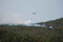 Bayramiç'te Orman Yangını