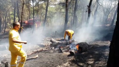 Çanakkale'de Orman Yangını