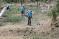 ONARIM ÇALIŞMASI - Mezarlıklardaki Çalışmalar Devam Ediyor