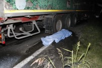 Arıza yapan otobüse tır çarptı: 2 ölü