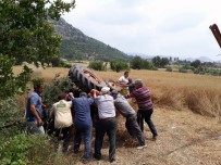 ALİHAN - Yenice'de Traktör Devrildi Açıklaması 3 Yaralı