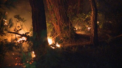 Abhazya'da Orman Yangını Söndürülemedi