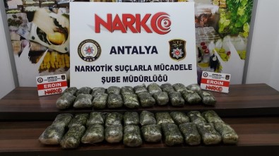 Antalya'da Durdurulan Tırda 1 Milyon Liralık Uyuşturucu Çıktı