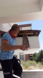 NEVŞEHİR BELEDİYESİ - Çatı Katında Sıkışan Yavru Kediyi İtfaiye Kurtardı