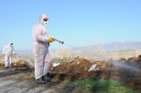 KARAAĞAÇ - Çorum Belediyesi'nde Vektörel Mücadele Mesaisi