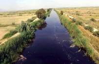 Vali Köşger Açıklaması 'Büyük Menderes Kirli Ancak Canlı Yaşaması İçin Yeterli Ortam Mevcut'