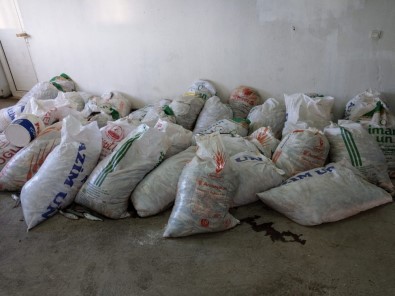 Van'da Kaçak Avlanmış İnci Kefali Balığı Ele Geçirildi