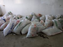 VAN GÖLÜ - Van'da Kaçak Avlanmış İnci Kefali Balığı Ele Geçirildi