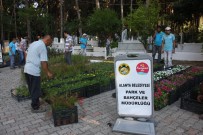 GÜZELBAĞ - Alanya Belediyesi, 21 Mezarlıkta 42 Bin Çiçek Dağıtacak