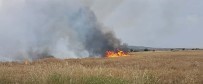 KARAKUYU - Tarlada çıkan yangında tonlarca buğday kül oldu