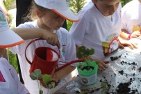 ORGANIK TARıM - Yetenekli Çocuk Tarım Kampı Başlıyor