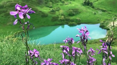 Kop Dağı'ndaki Heyelan Gölü Turizme Kazandırılacak