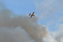 Turgutlu'da Onlarca Hektar Alan Küle Döndü