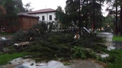 Erbaa'da Sağanak Yağış Ve Fırtına Maddi Hasara Neden Oldu