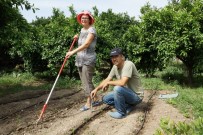 SOLUCAN GÜBRESİ - Hollanda'lı Diane, Türkiye'de Organik Tarım Yapıyor