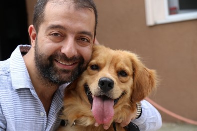 (Özel) Sakarya'da Vahşet Zonguldak'ta Köpeğe Sevgi