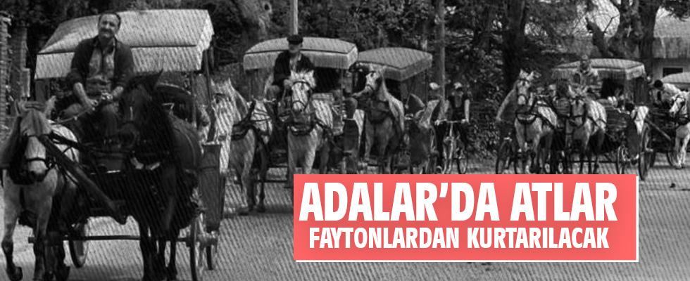 Adalar'da Atlar Faytonlardan Kurtarılacak