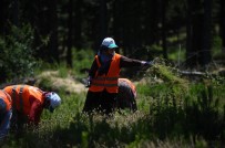 Bursa'nın Akciğerleri Gençleşiyor