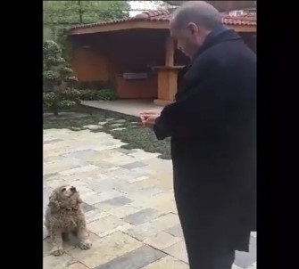 Erdoğan Küçük Köpeği Böyle Besledi