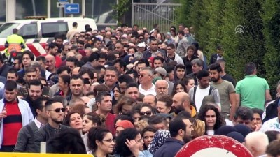 Hollanda'da Seçimlere Yoğun İlgi