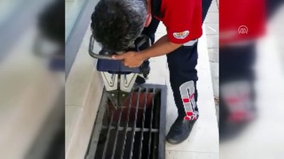 Saatler Sonra Geri Dönüp Mazgala Düşen Kediyi Kurtardı