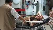 Samsun'da Silahlı Kavga Açıklaması 3 Yaralı