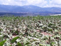 KıRıM - 5 Günde İkinci Kez Sel Ve Dolu Vurdu