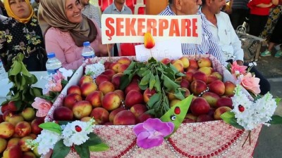 Arsuz'da Geleneksel Kayısı Festivali Yapıldı