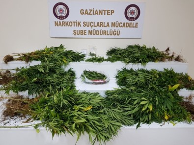 Gaziantep'te Uyuşturucu Satıcılarına Operasyon Açıklaması 11 Tutuklama