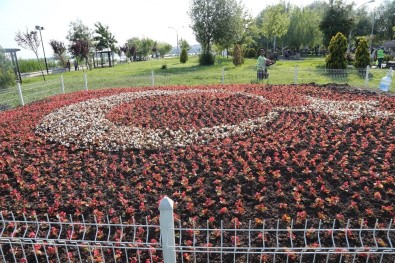 Gölbaşı'ndaki Aydınlanma Direkleri Petunyalarla Süslendi