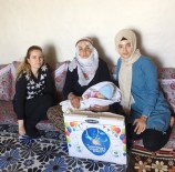 Gürpınar Belediyesi Ekiplerine Saldırı