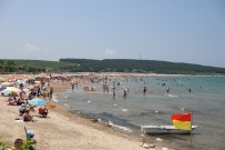 YOĞUN MESAİ - Kocaeli Plajlarında 53 Kişi Boğulmaktan Kurtarıldı